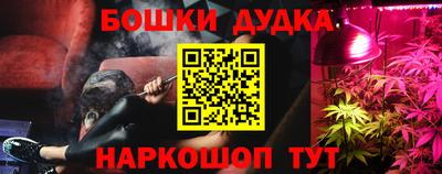 стаф Славгород