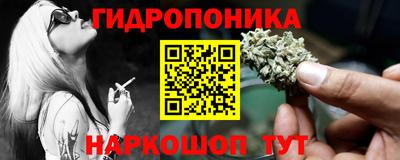 стаф Славгород