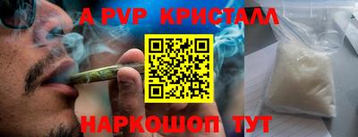 стаф Славгород